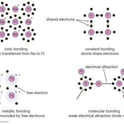 Types of chemical bonds worksheet