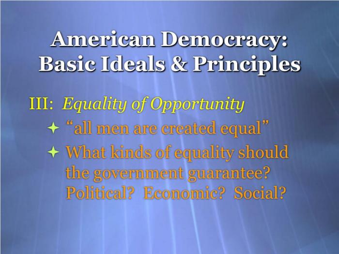 Topic 1.1 ideals of democracy