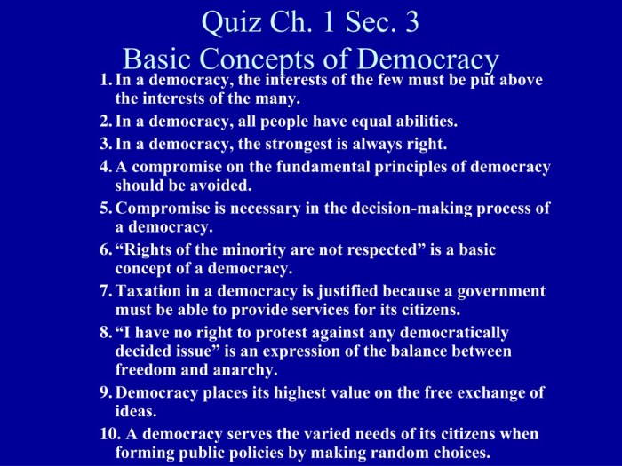 Topic 1.1 ideals of democracy