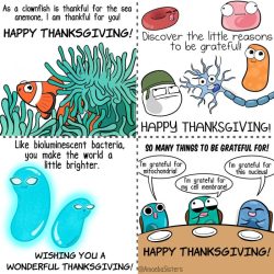 Amoeba sisters autotrophs and heterotrophs answer key